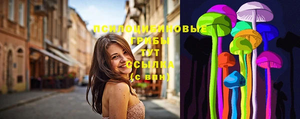 метадон Горняк