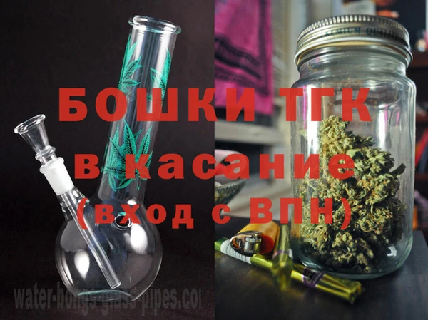 шишки Горнозаводск