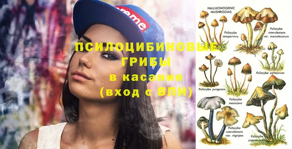 меф Горно-Алтайск