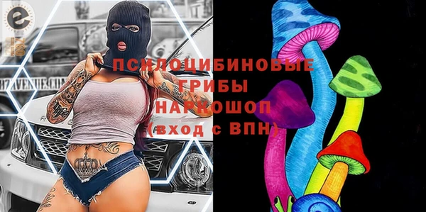 метадон Горняк